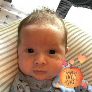 Meet your Posher, Dianne